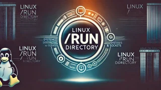 ⸜⸜ runchan ⸝⸝プロフ必読！様 クラシック・フュージョン チタニウム[565.NX.7071.LR] Classic fusion